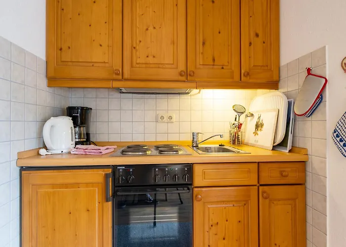 Haus Alpina 2-raum-wohnung Schnee *